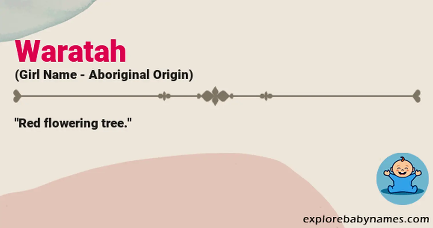 Meaning of Waratah