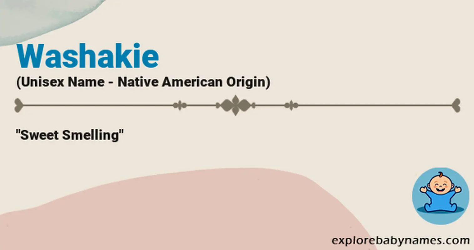 Meaning of Washakie