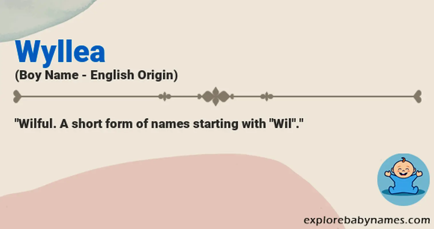 Meaning of Wyllea
