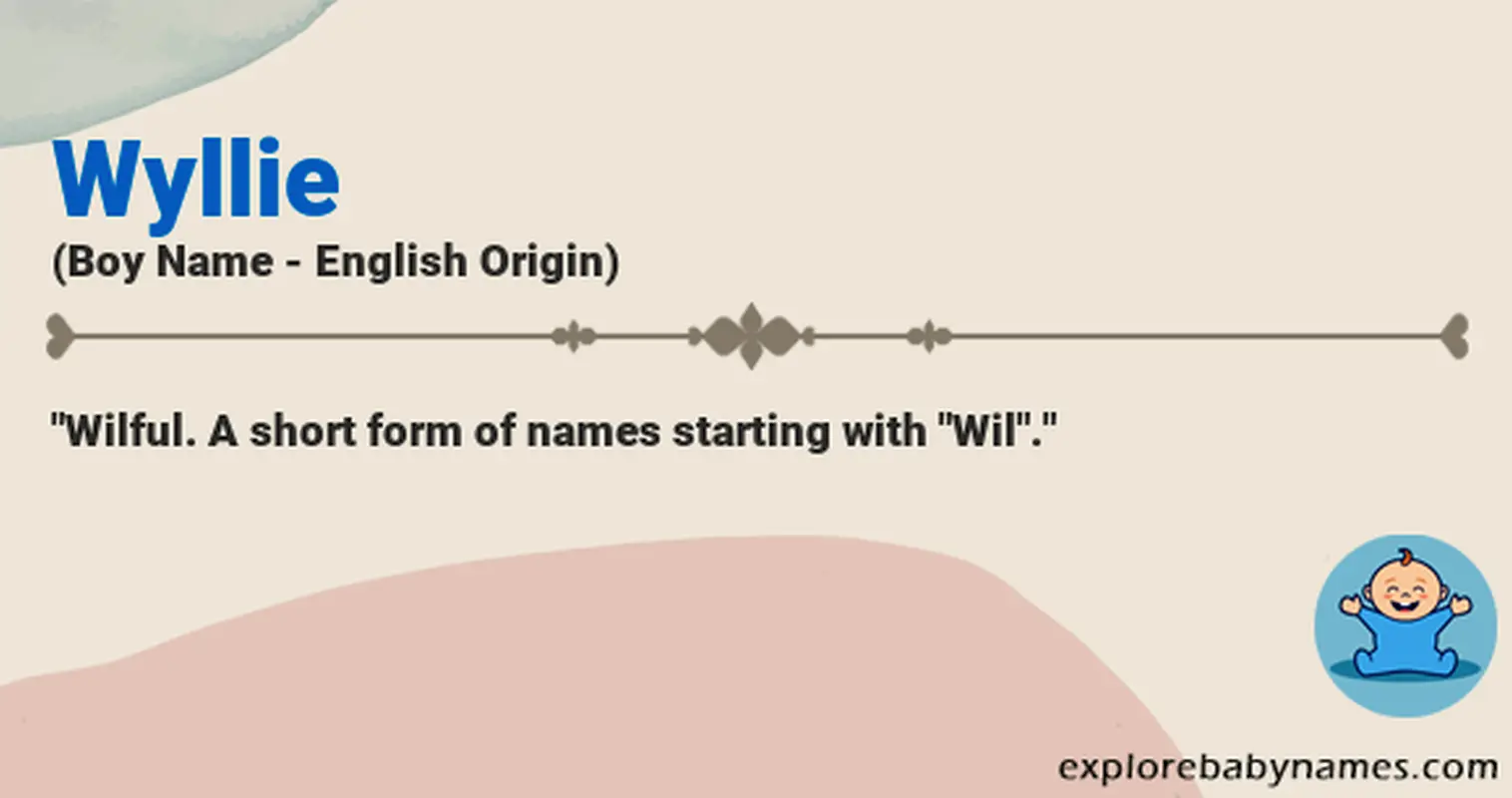 Meaning of Wyllie